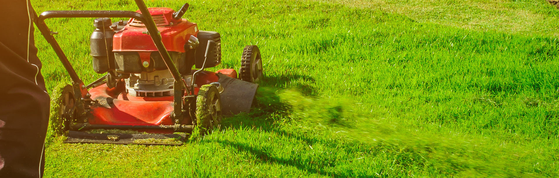 yardilandscaping-yardi-landscaping-in-edmonton